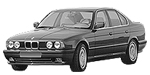 BMW E34 C2490 Fault Code